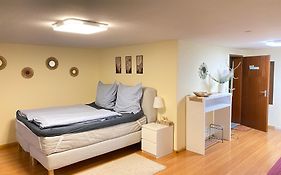 ruhiges privates Zimmer in Freiburg, zentrumsnah, Nähe Europapark